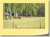 Samstag 1 (3)