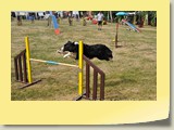 DSC_0130-1  (13)