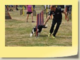 DSC_0130-1  (14)