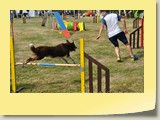 DSC_0130-1  (5)