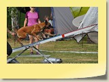 DSC_0130-1  (6)