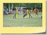 3 (10)