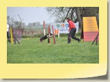 A-Lauf Samstag (235)