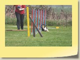 A-Lauf Samstag (265)