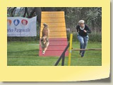 A-Lauf Samstag (712)