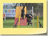 A-Lauf Samstag (846)