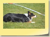 A-Lauf Samstag (925)
