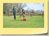 A-Lauf Samstag (984)