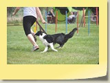 Jumping Samstag (1)
