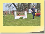 Jumping Samstag (121)