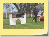 Jumping Samstag (20)
