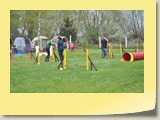 Jumping Samstag (261)