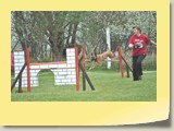 Jumping Samstag (341)