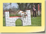 Jumping Samstag (48)