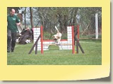 Jumping Samstag (502)