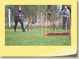 Jumping Samstag (545)