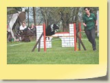Jumping Samstag (630)