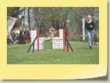 Jumping Samstag (688)