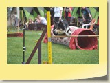 Jumping Samstag (884)