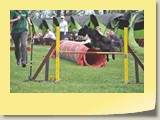 Jumping Samstag (922)