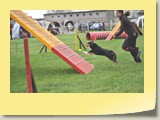 A-Lauf (332)