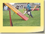 A-Lauf (352)