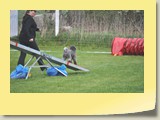 A-Lauf (46)