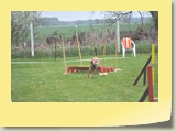 A-Lauf (479)