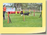 Jumping (1016)