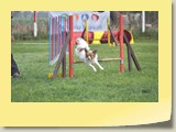 Jumping (102)