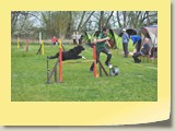 Jumping (1051)