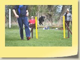 Jumping (1078)