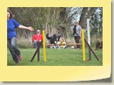 Jumping (1120)