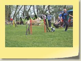 Jumping (1140)