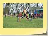 Jumping (1231)