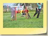 Jumping (157)