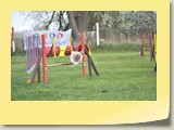 Jumping (243)