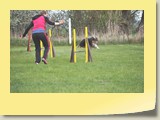 Jumping (264)