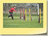 Jumping (303)