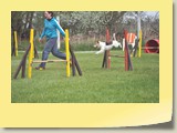 Jumping (313)