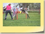 Jumping (353)