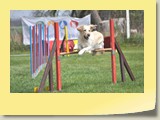 Jumping (444)