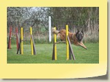 Jumping (477)