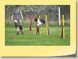Jumping (538)