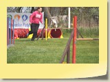 Jumping (616)
