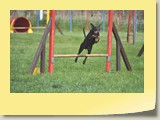 Jumping (787)