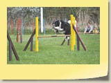 Jumping (821)