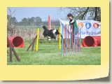 Jumping (831)
