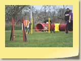 Jumping (90)