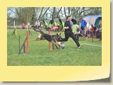 Jumping (959)